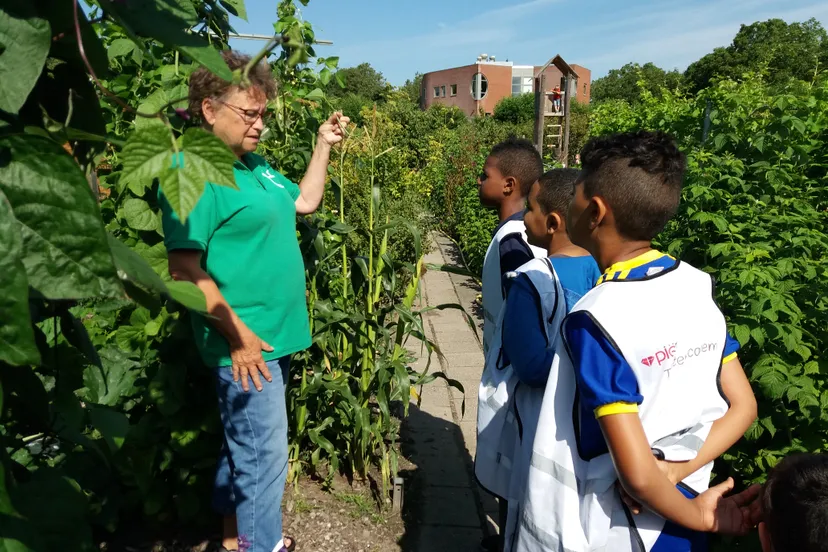 20190729 10595320381