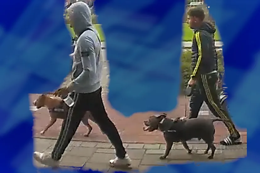 240130 team mishandeling zoetermeer samen1