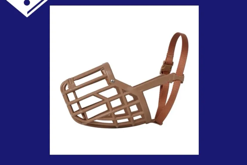 26230715 2194970797396989 8259272828667850301 n