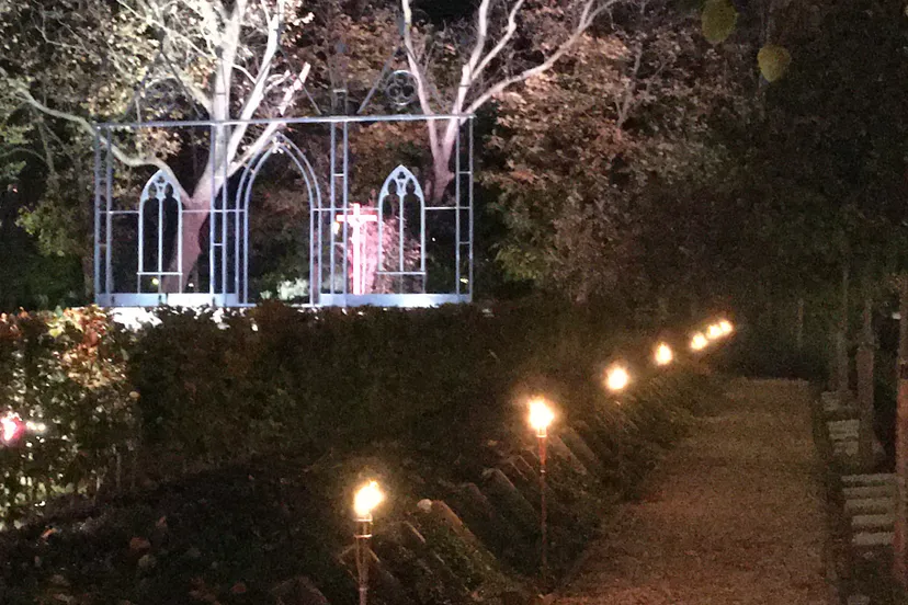 allerzielen nicolaaskerkhof