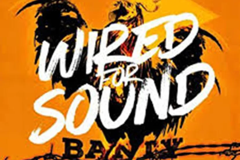 banty holler wired for sound