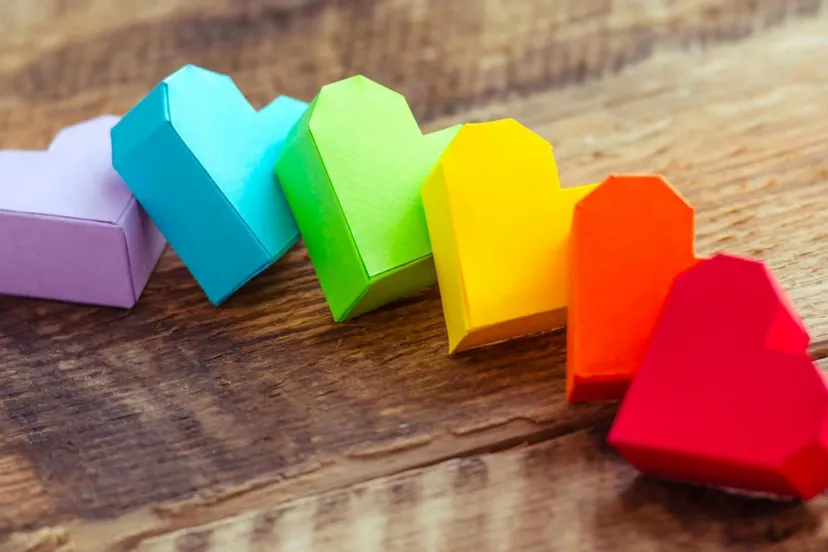 bijlage bij persbericht 68 lhbti