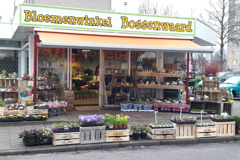 bloemenwinkel bossenwaard