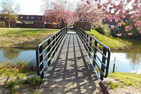 brug bunzingweide450