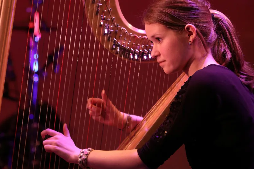 ckc partners klassiek concert varend door de polder