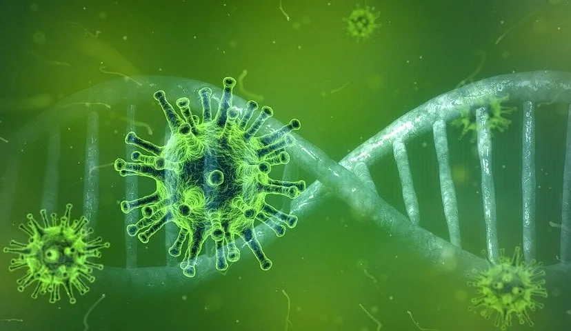 coronavirus 4833754 960 720