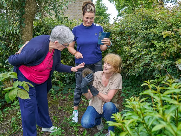 egeltje uit de egelopvang helpt vrijwilligers van piezo in wijktuin noordhove fotograaf leon koppenol