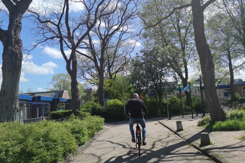 ervaringsverhaal positieve gezondheid en piezomethodiek