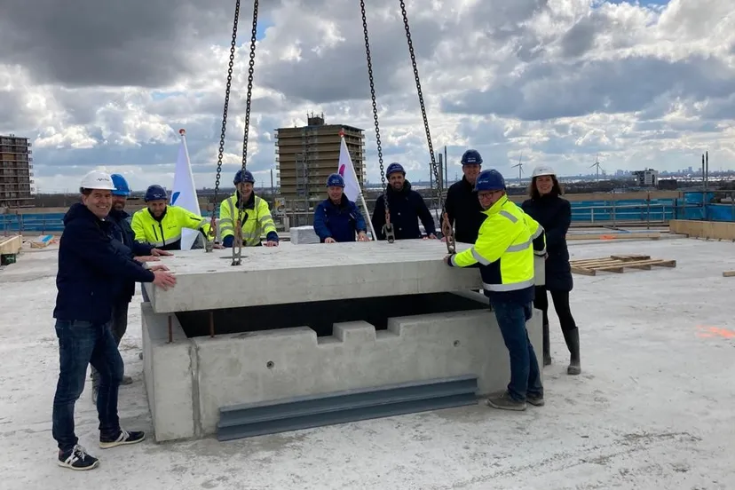 foto hoogstepuntpalenstein