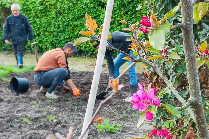 gezellig samen aan de slag in wijktuin noordhove foto stichting piezo