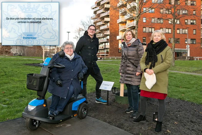 herdenkingsboom coronatijd