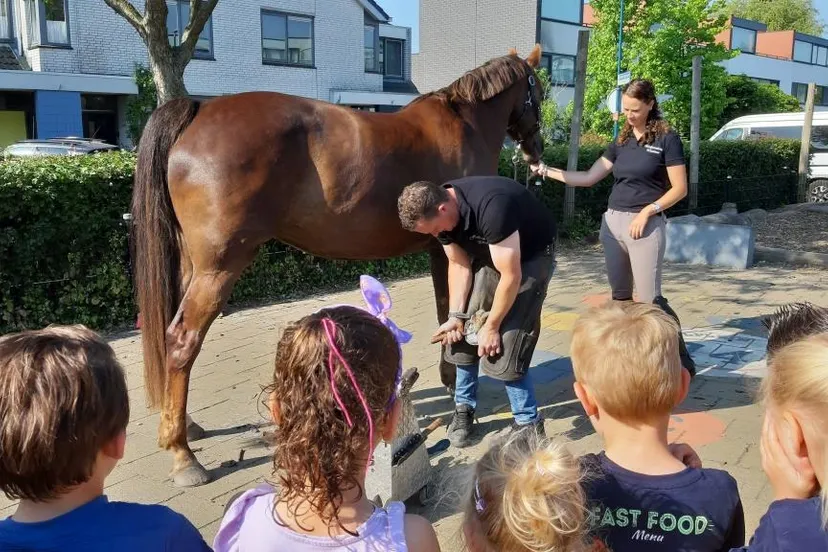 hoefsmid op schoolplein