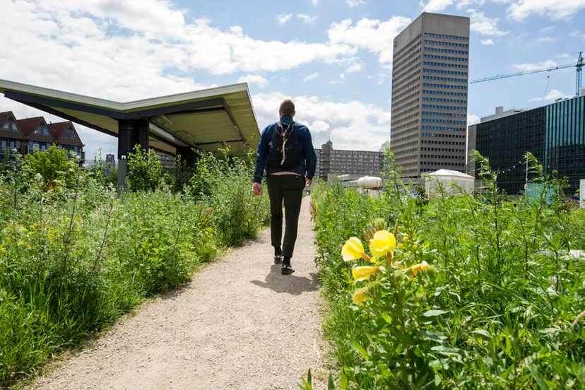 hofplein station dakpark