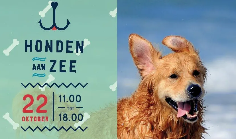 hondenaanzee flyer2017 00151111