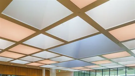 instawalk beeld web 1