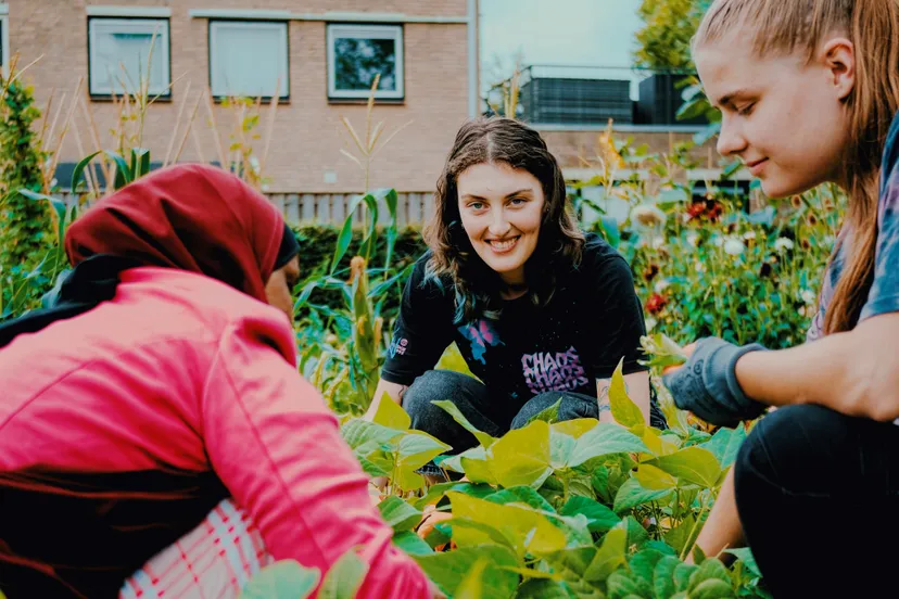internationale studenten en inburgeraars werken en leren samen in wijktuin noordhove foto stichting piezo