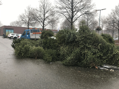 kerstboominzameling400
