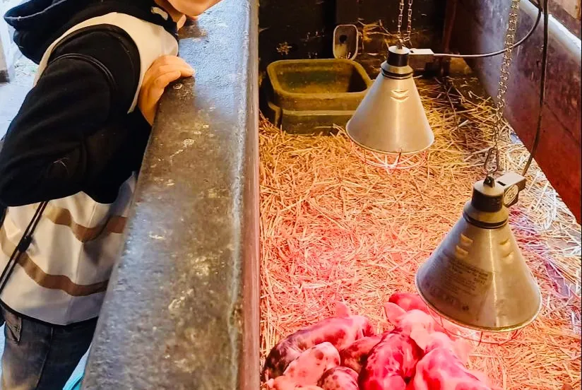 kinderen talentenacademie bezoeken buitenbeest fotograaf stichting piezo