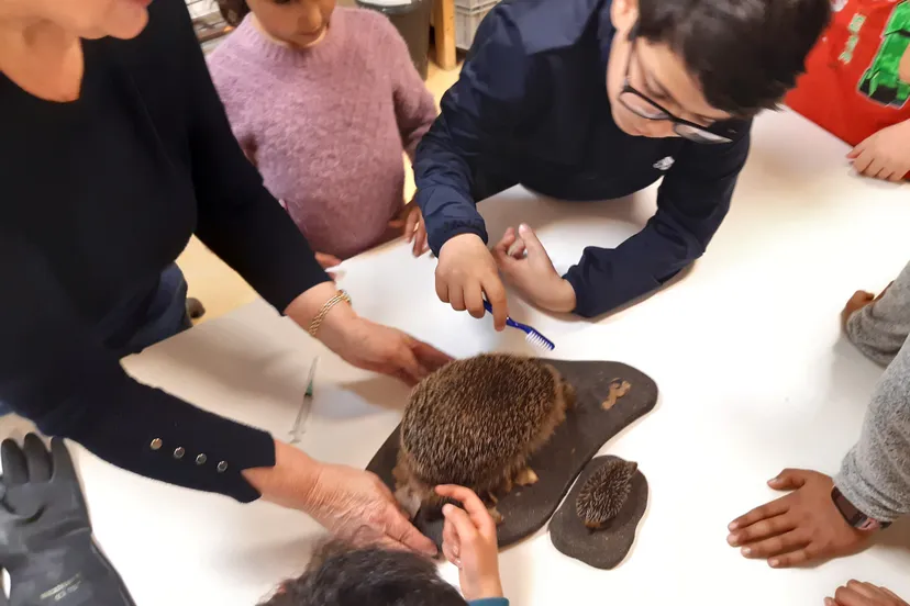 kinderen talentenacademie krijgen les egelverzorging fotograaf stichting piezo