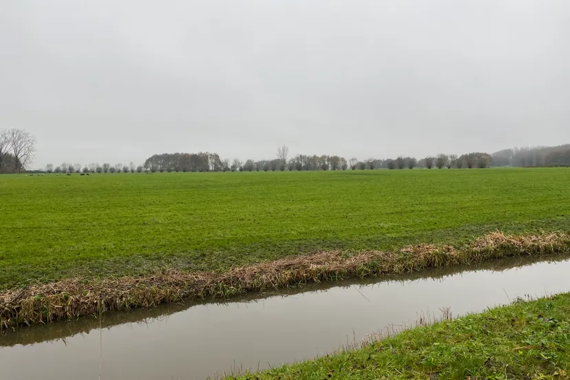 locatie zonnepark roeleveenseweg