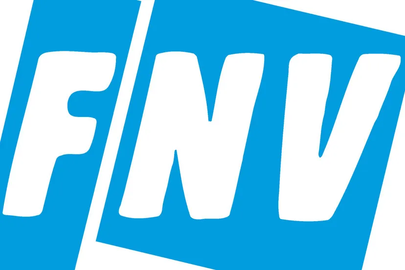 logo fnv