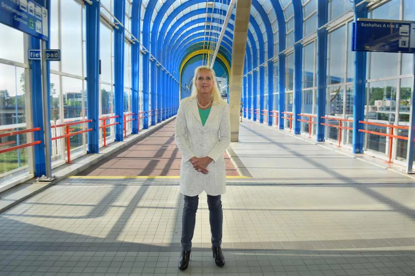 mandelabrug zoetermeer4261