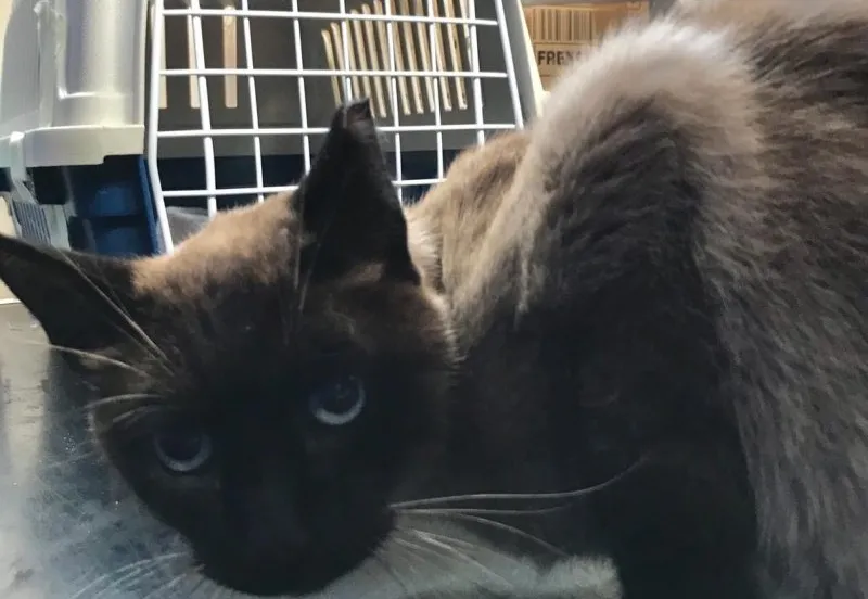 markie4 e1601900818447