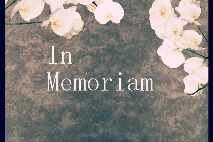 memory 1346375 960 720