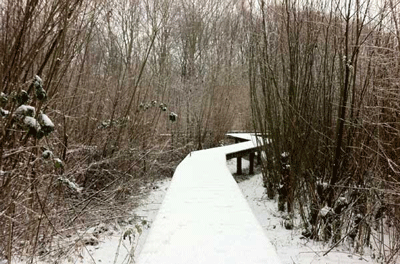 natuurtuin winter pad400