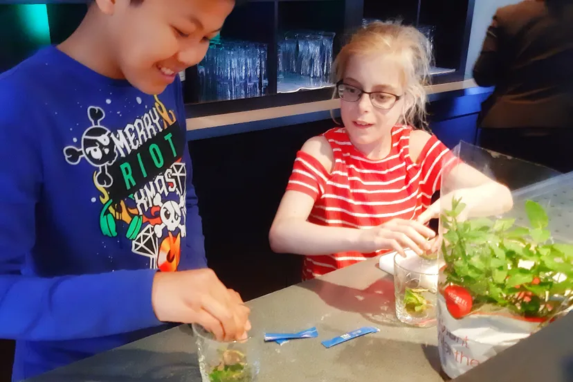 nhhotel talentenacademie119608