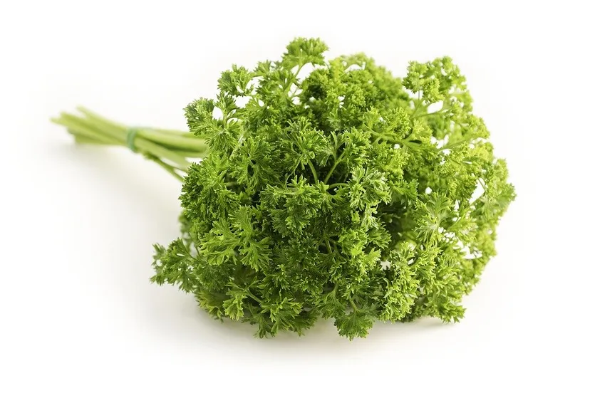 parsley 1665402 960 720