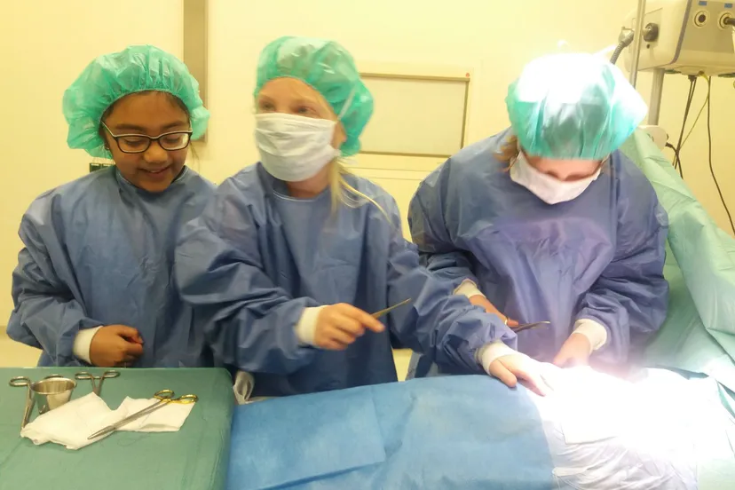 piezo talentenacademie gezondheidszorg