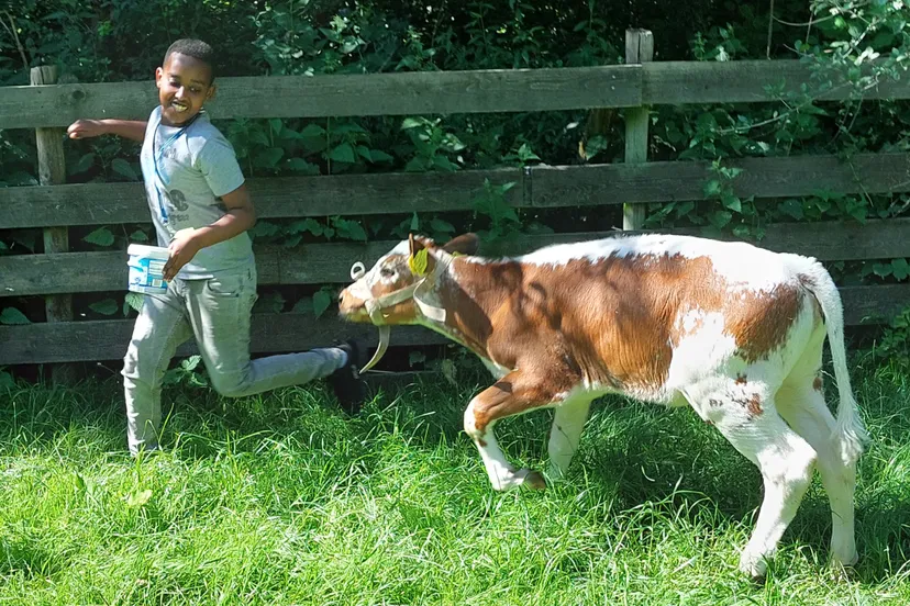 piezo talentenacademie meerzicht leert op de kinderboerderij alles over het beroep van dierenverzorger fotograaf stichting piezo