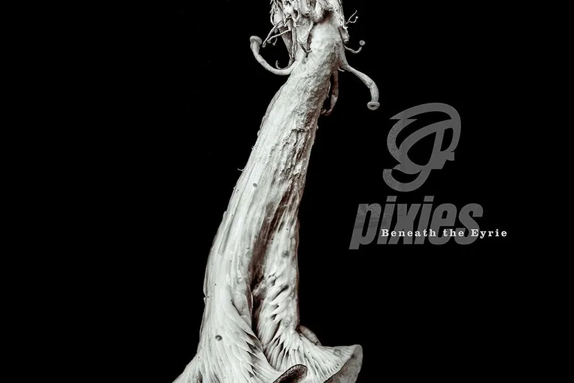 pixies beneath the eyrie