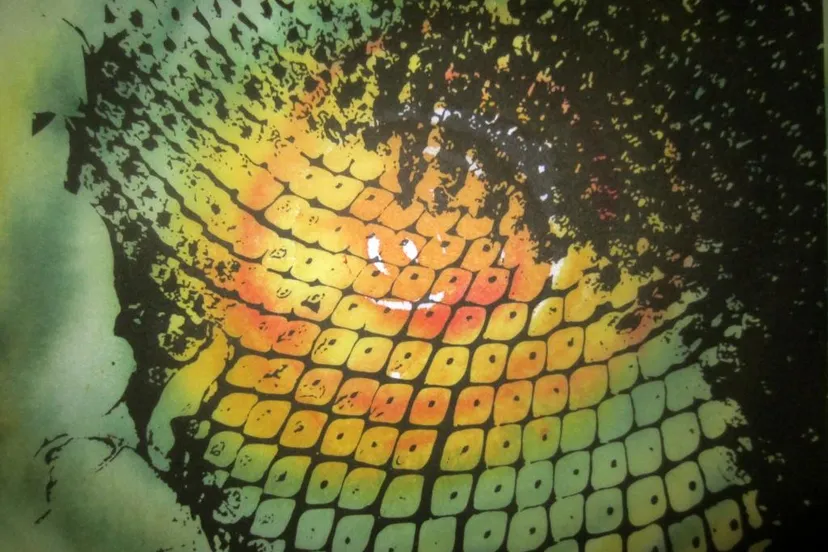 print op beschildere non woven 635414931