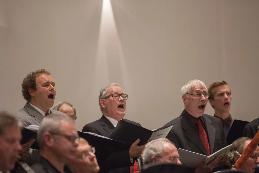 projectkoor verdi and friends ckc partners