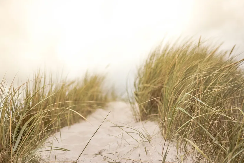 sand 691710 960 720