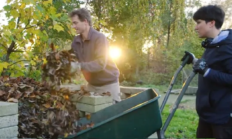 spoortuin rotterdam 1