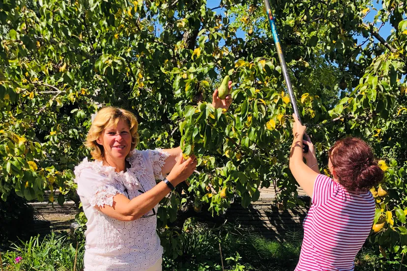 start van de beweegweek in noordhove foto stichting piezo