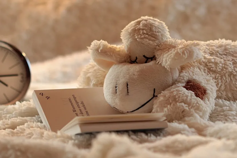 still life 3097682 1280