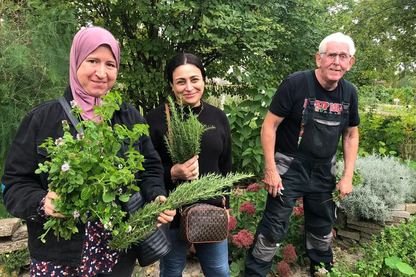 theeschenkerij met verse kruiden bij piezo in wijktuin noordhove foto stichting piezo