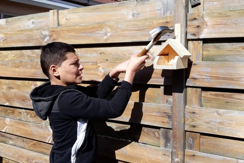 thusiwerkpakket piezo talentenacademie