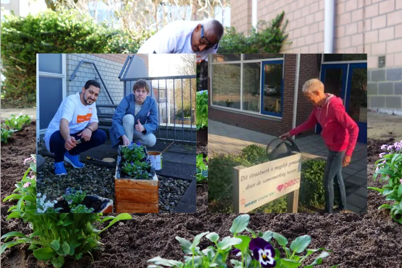 tuinton piezo buurttuin