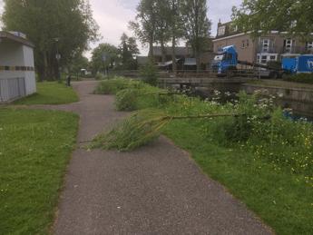 vandalisme knotwilgen buurtvaart1 345