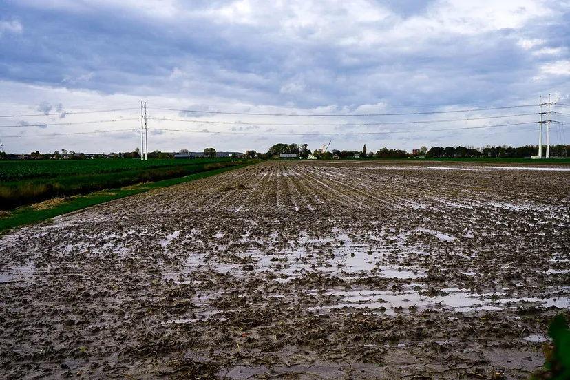 verzadigde grond