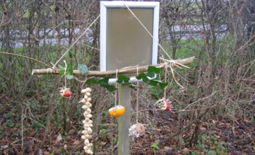 voedertak voor vogels450