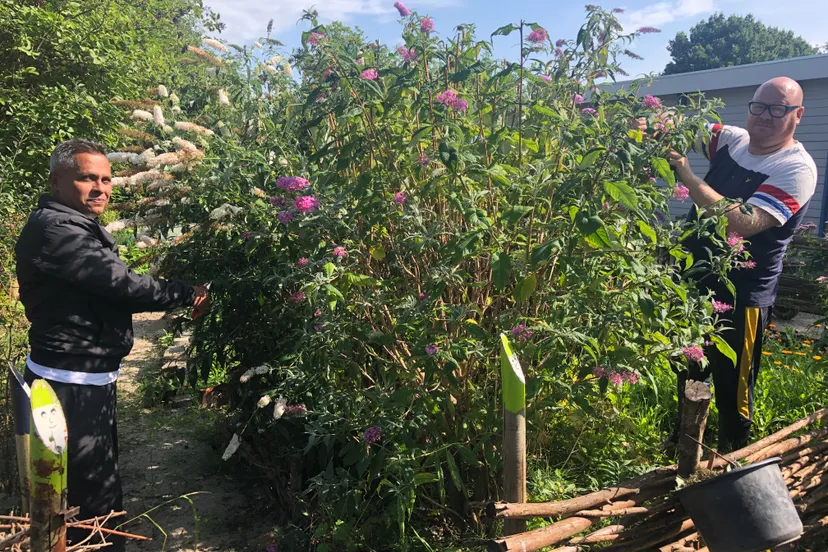 vrijwilligers wijktuin noordhove foto stichting piezo