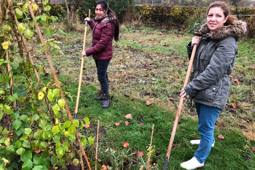 werving sociale moestuin foto piezo