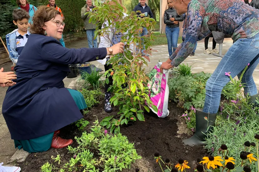 wethouder jacobien groeneveld plant boom bij opening buurttuin