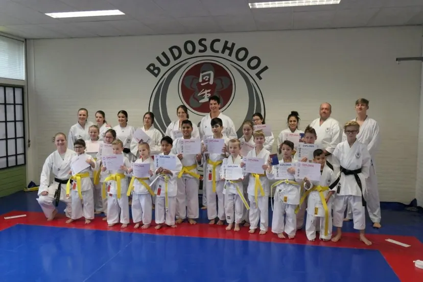 wit geel en geel15341